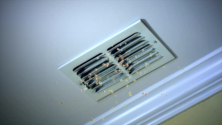 Best Local Air Duct Cleaning Services  in Ocean Shores, WA